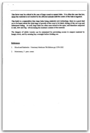 1996 Page 78
